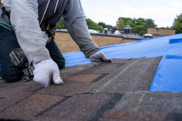 Best Flat Roof Repair Services  in Orting, WA