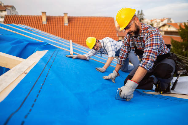 Best Metal Roofing Contractor  in Orting, WA